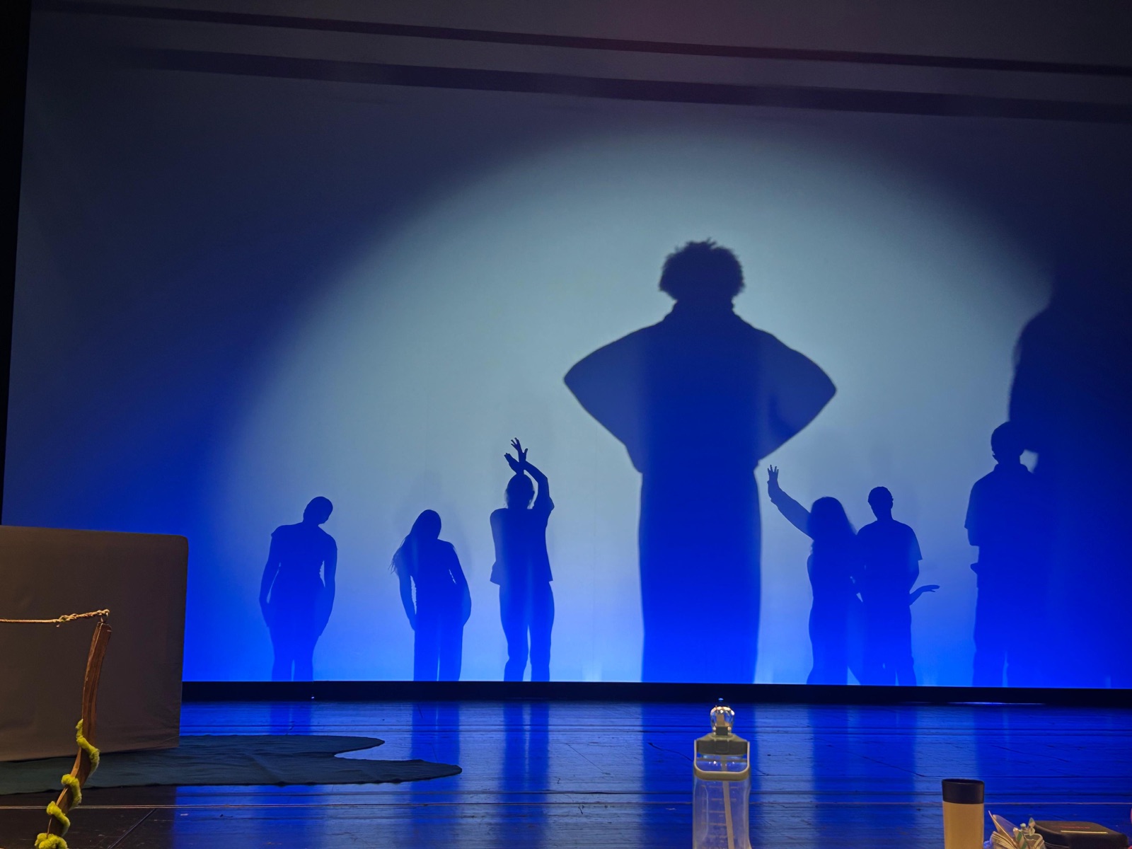 Tänzerinnen und Tänzer als Silhouetten vor einer blau ausgeleuchteten Bühnenwand, in der Mitte eine große Schattenfigur